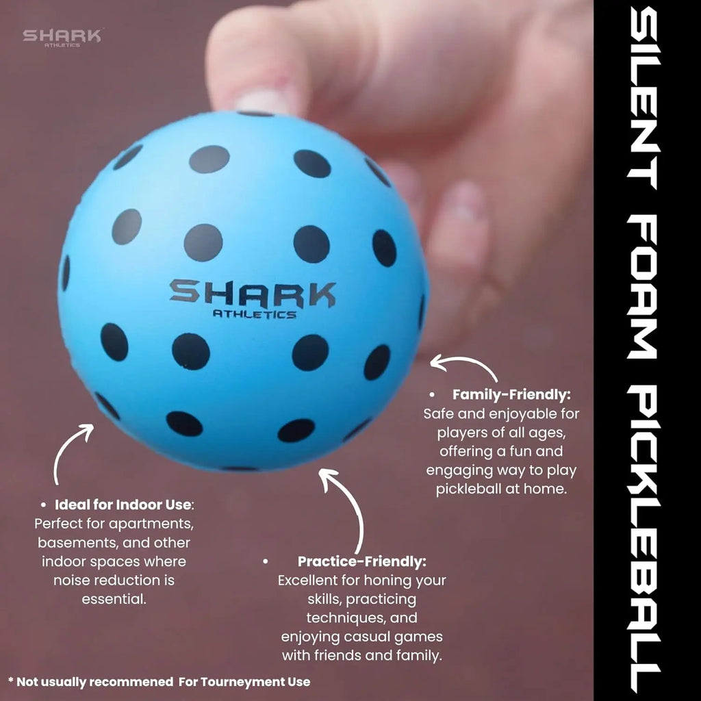 Quiet Foam Pickleball Balls (2-Pack)